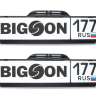 Комплект из 2-х видеокамер Bigson iCam-2000