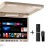 Потолочный монитор на Android Avel AVS117 + Xiaomi Mi TV Stick + AV1252DC