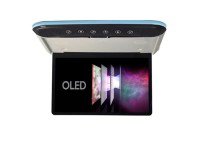 Потолочный Смарт ТВ 13,3" ERGO ER1330AN_OLED (1920x1080, Android) серый Потолочный Смарт ТВ 13,3" ERGO ER1330AN_OLED (1920x1080, Android) серый
