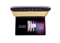 Потолочный Смарт ТВ 13,3" ERGO ER1330AN_OLED (1920x1080, Android) бежевый Потолочный Смарт ТВ 13,3" ERGO ER1330AN_OLED (1920x1080, Android) бежевый
