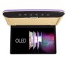 Потолочный Смарт ТВ 13,3" ERGO ER1330AN_OLED (1920x1080, Android) бежевый Потолочный Смарт ТВ 13,3