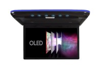 Потолочный Смарт ТВ 13,3" ERGO ER1330AN_OLED (1920x1080, Android) черный Потолочный Смарт ТВ 13,3" ERGO ER1330AN_OLED (1920x1080, Android) черный