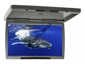 Потолочный монитор 23.6&quot; Ergo ER23H 1920X1080 Потолочный монитор 23" Full HD (1920x1080) HDMI/AV/USB