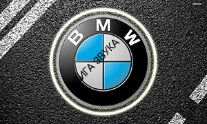 LED подсветка двери Carsys RX-S2B BMW в штатное место с логотипом авто